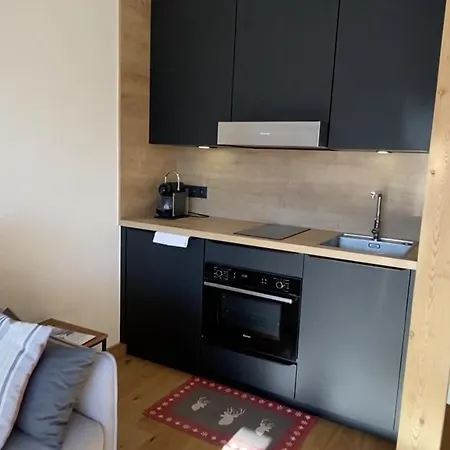 Apartment Lumineux Avec Vue Sur Le Mont Blanc Cordon